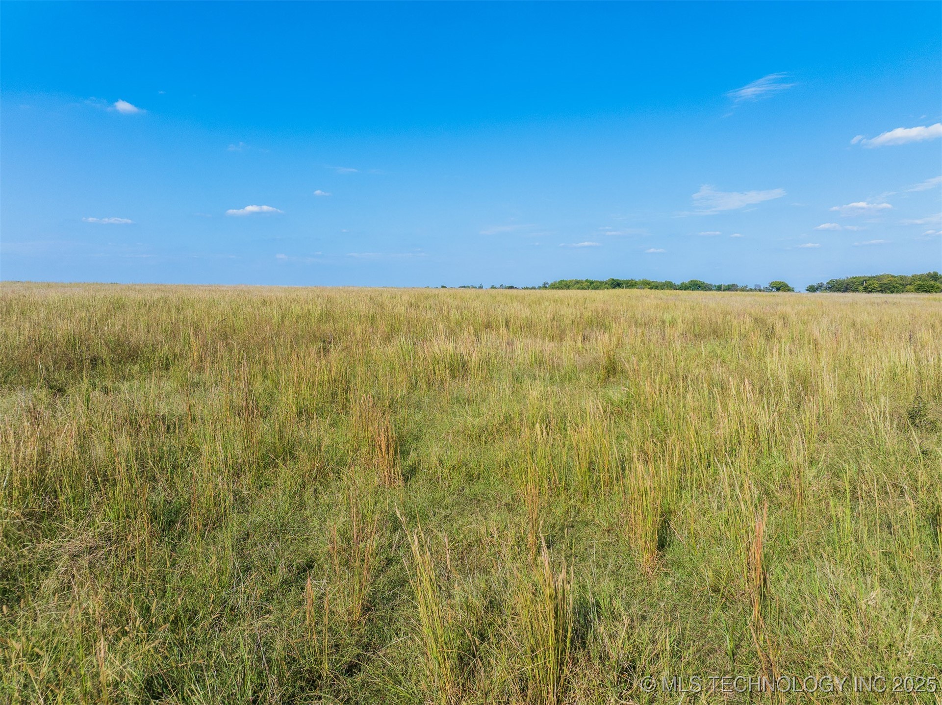 170 Ash Road Property Photo 38