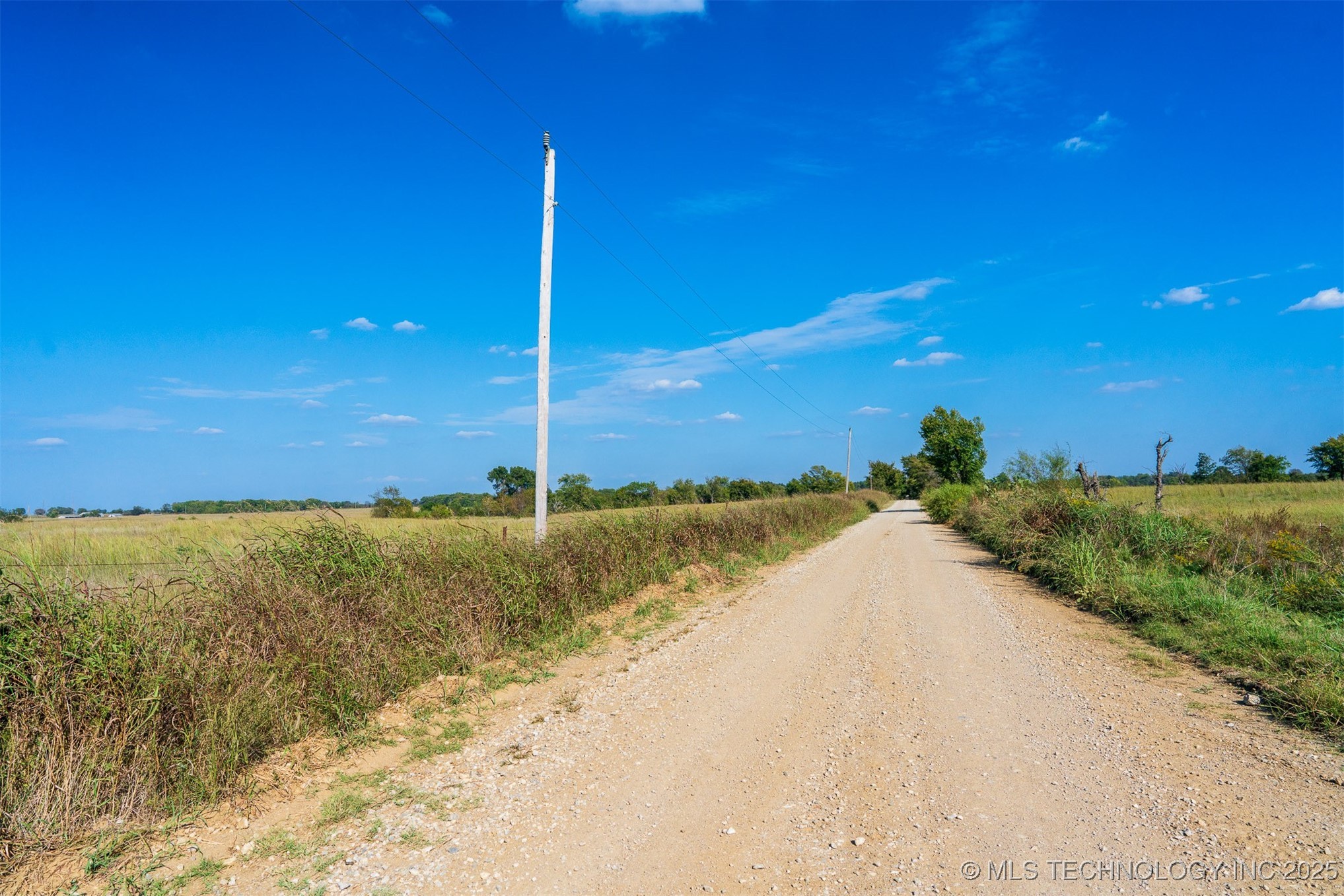 170 Ash Road Property Photo 41