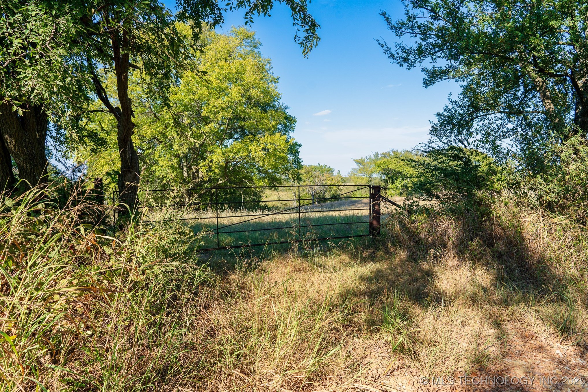 170 Ash Road Property Photo 42