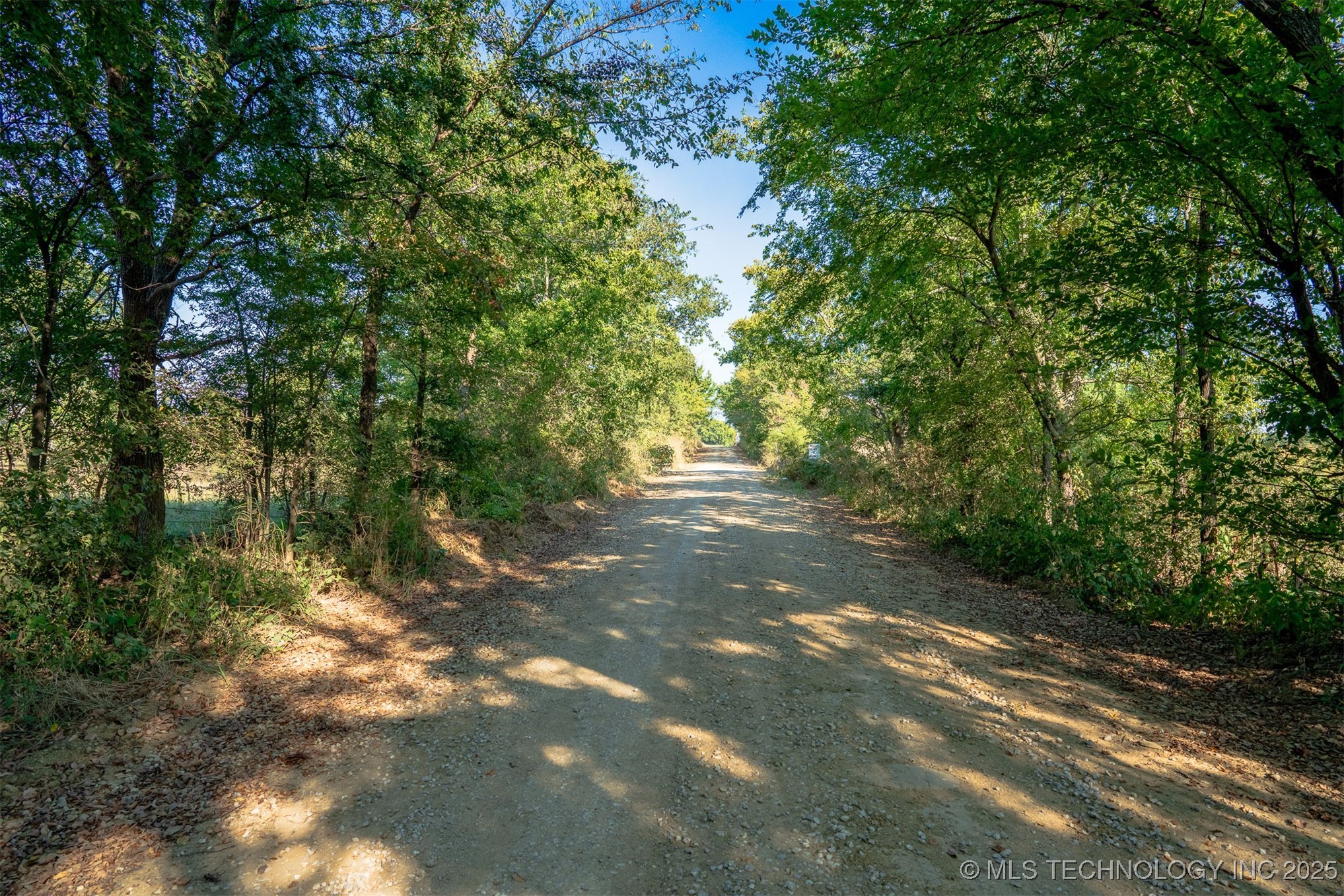 170 Ash Road Property Photo 66