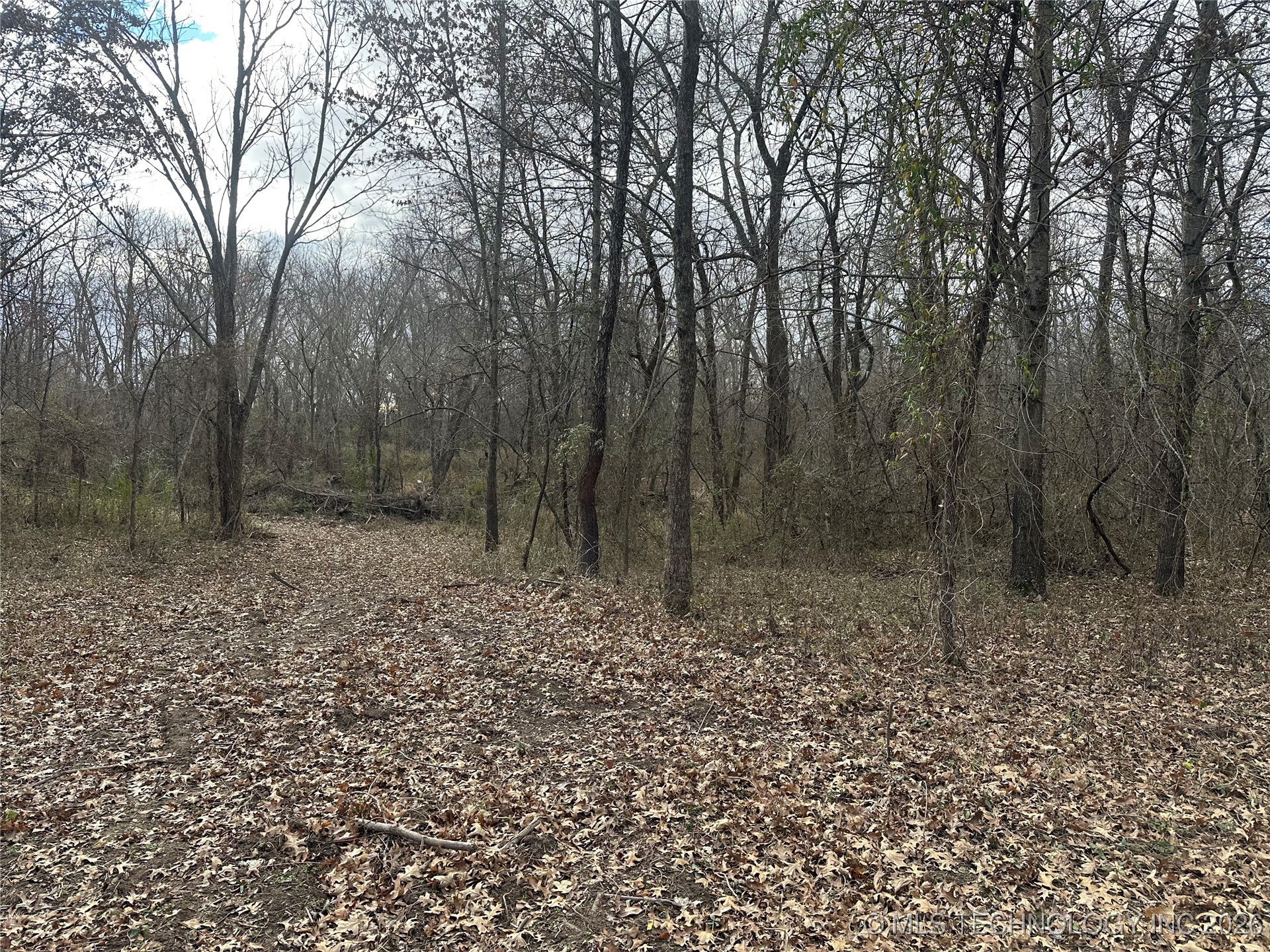 N 280 Road Property Photo 18