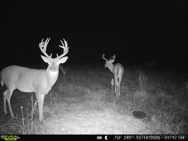 78 Se Lenapah Street Property Photo 8