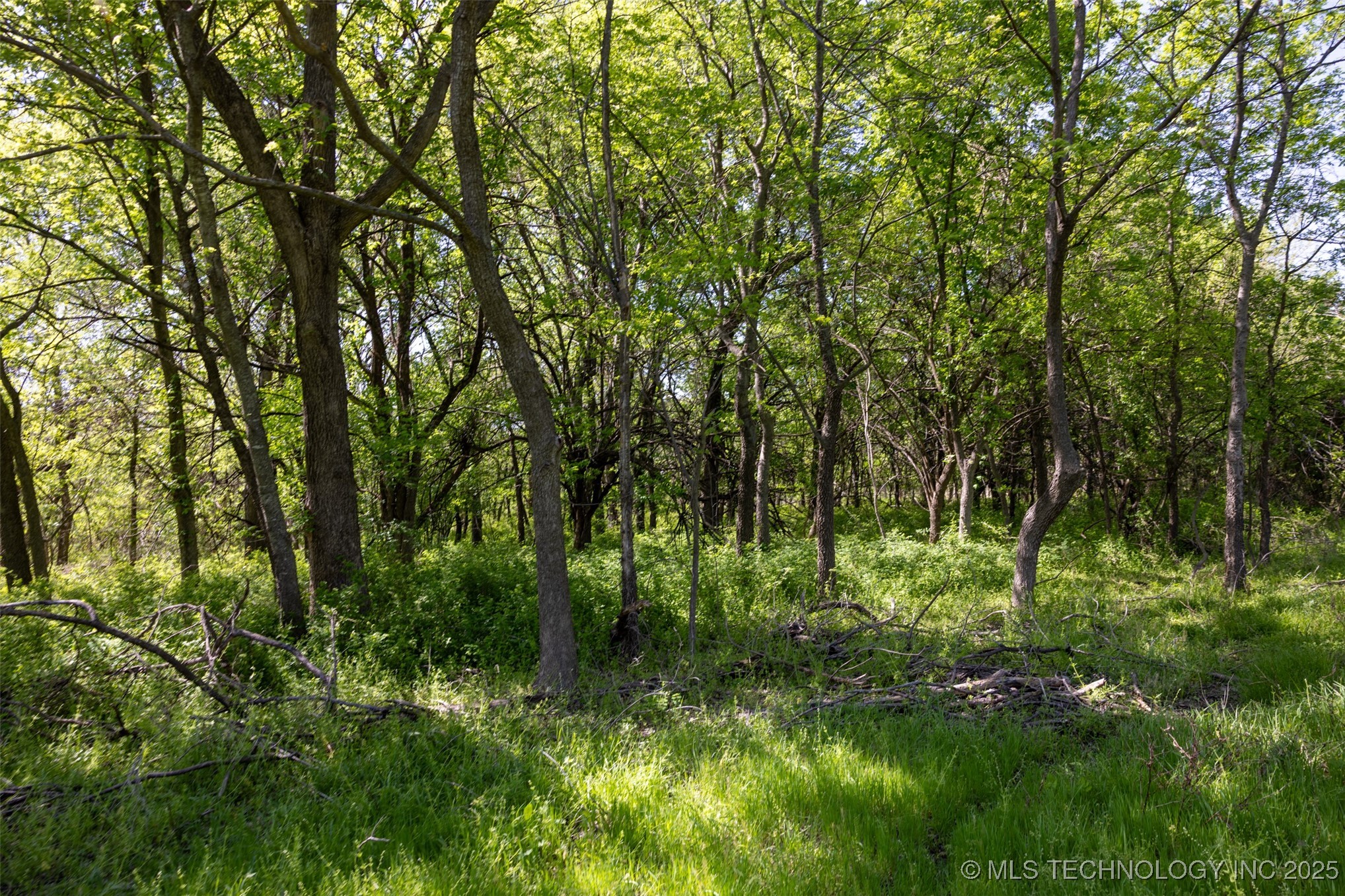 78 Se Lenapah Street Property Photo 13