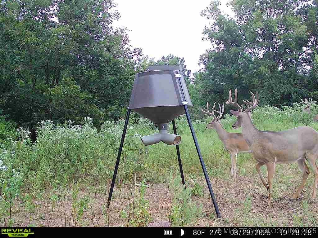 78 Se Lenapah Street Property Photo 26