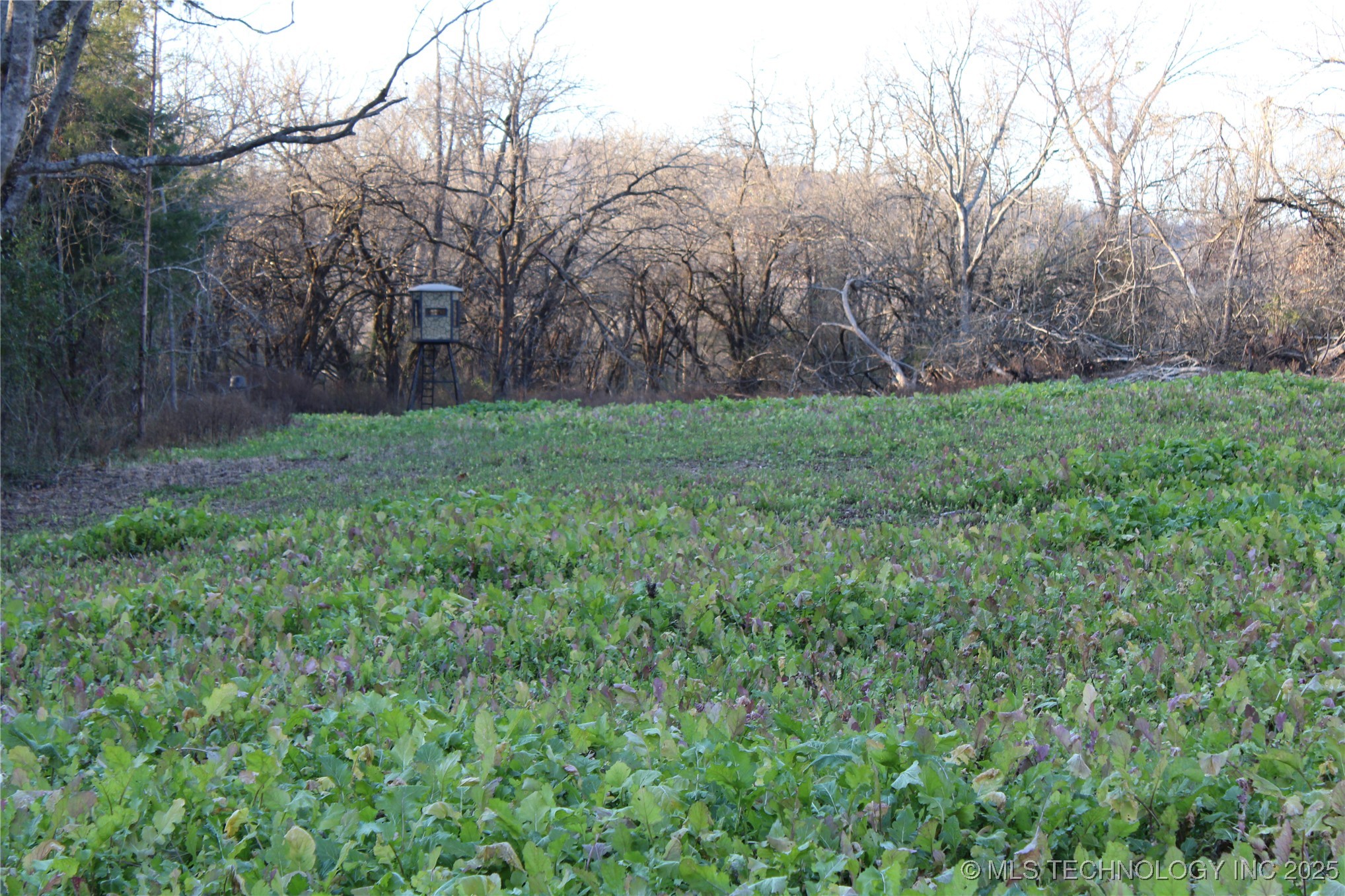 0001 S 4659 Road Property Photo 1