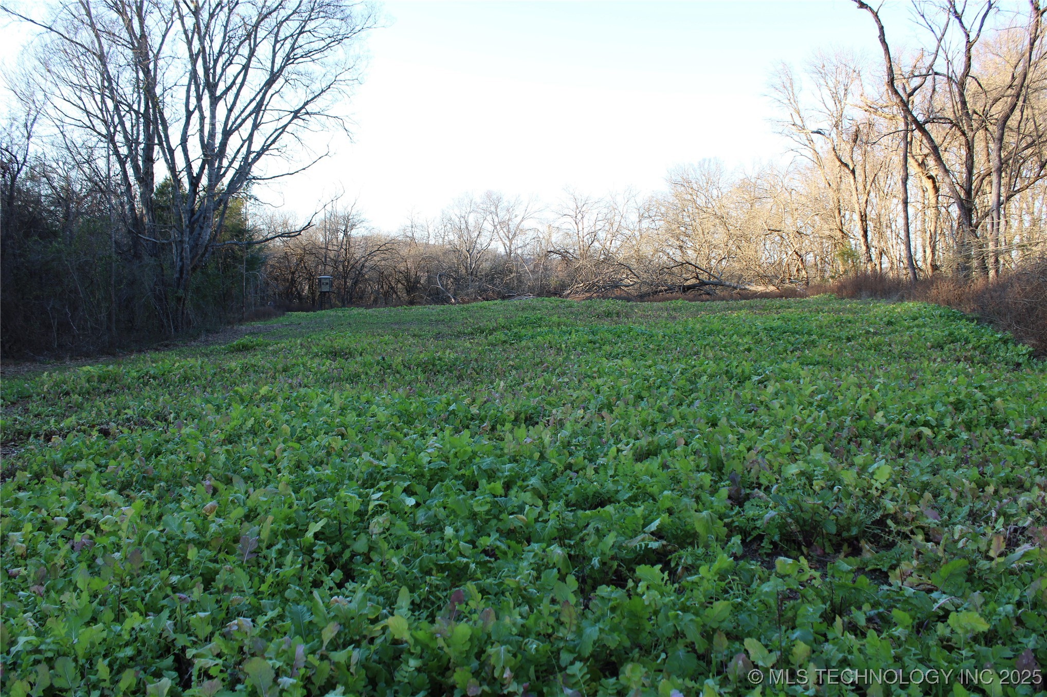 0001 S 4659 Road Property Photo 2