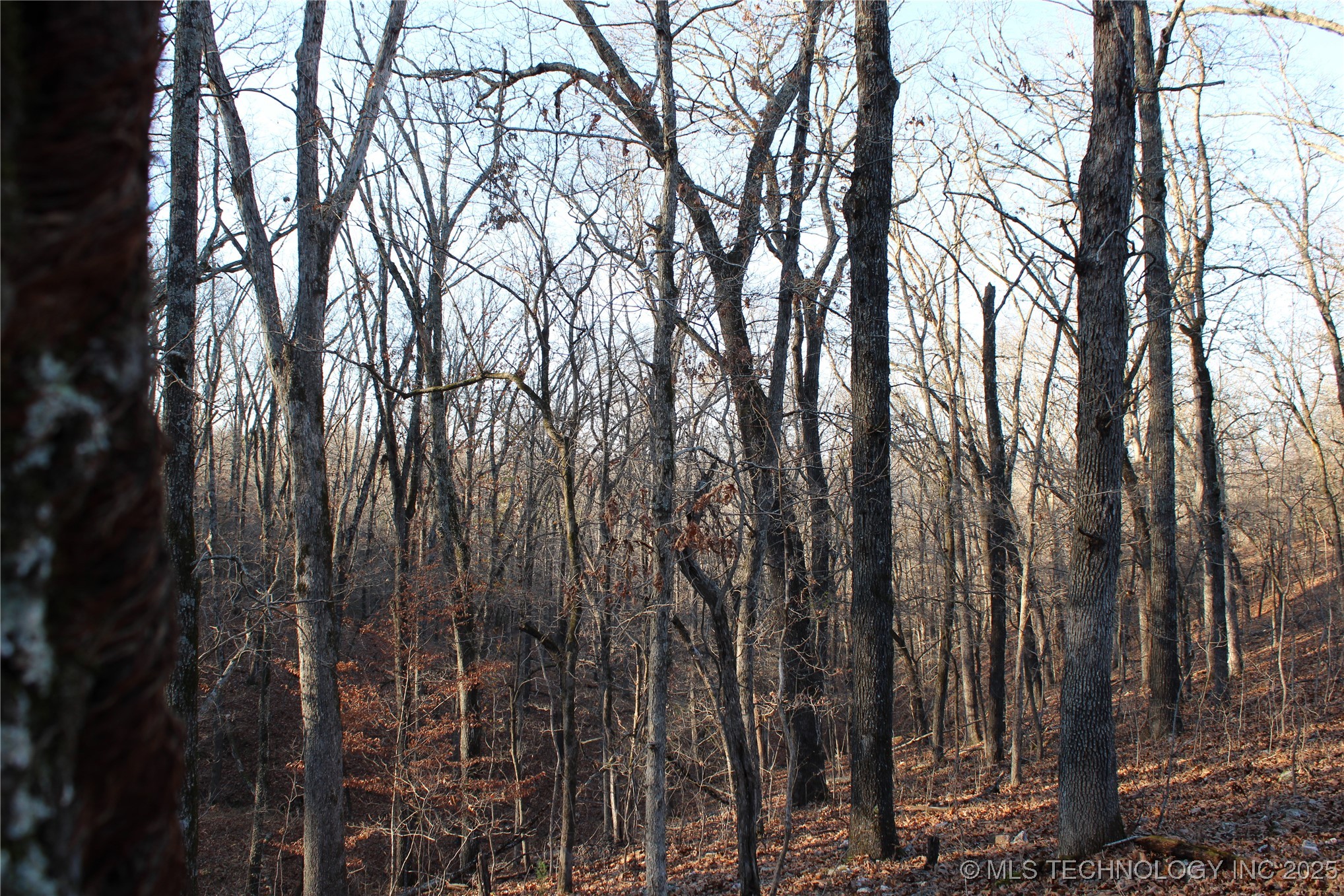 0001 S 4659 Road Property Photo 14