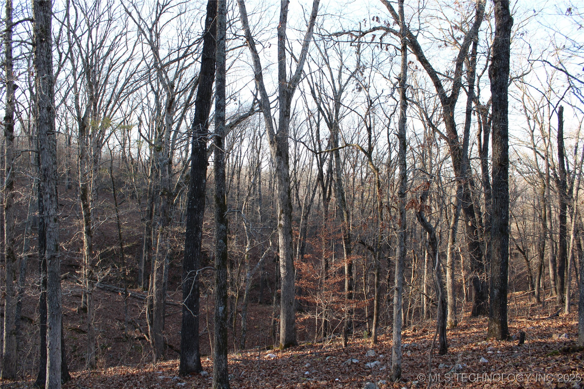 0001 S 4659 Road Property Photo 15