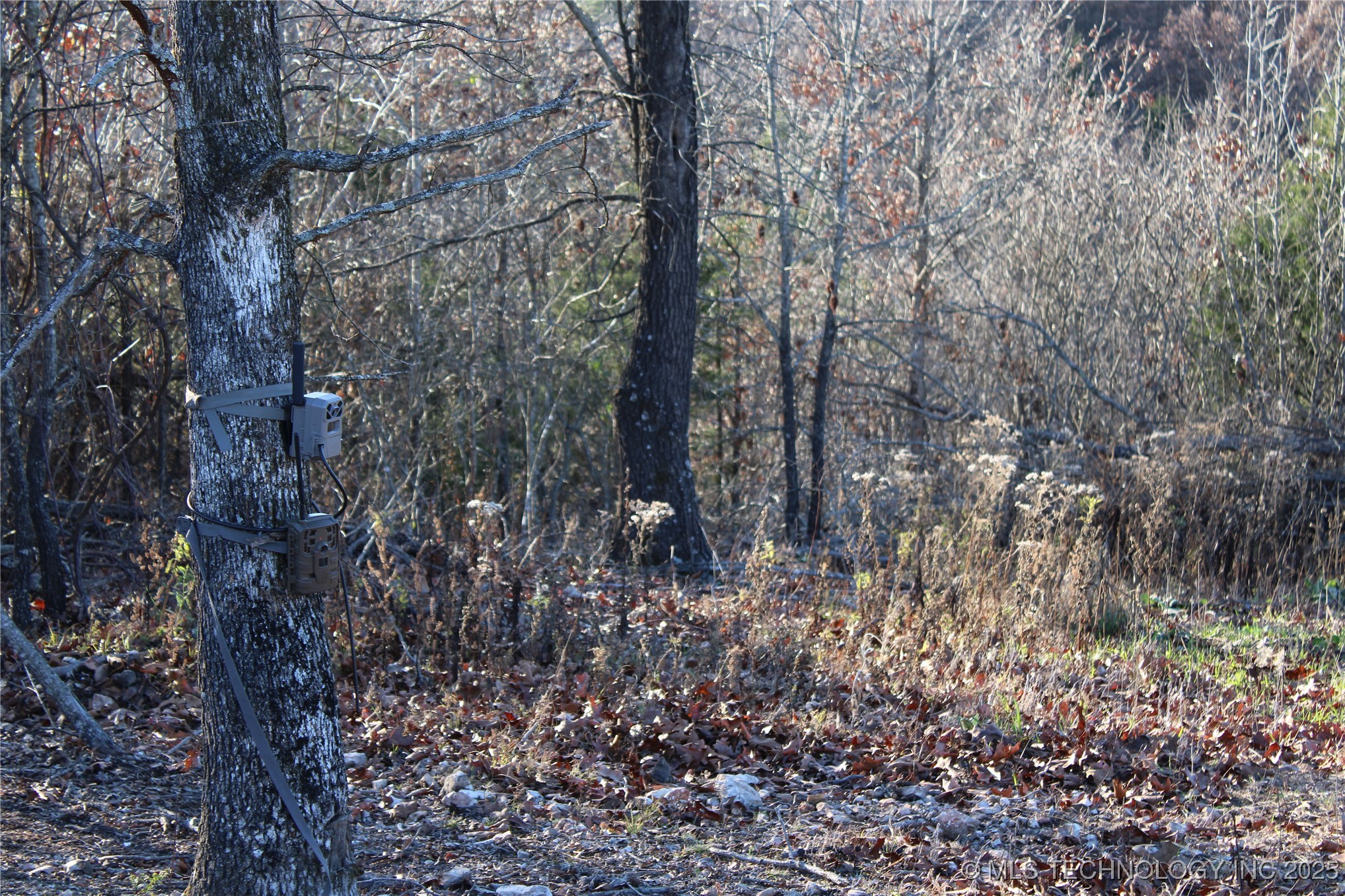 0001 S 4659 Road Property Photo 20