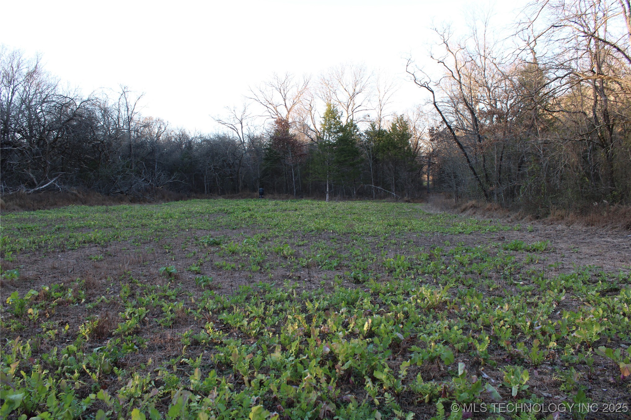 0001 S 4659 Road Property Photo 23