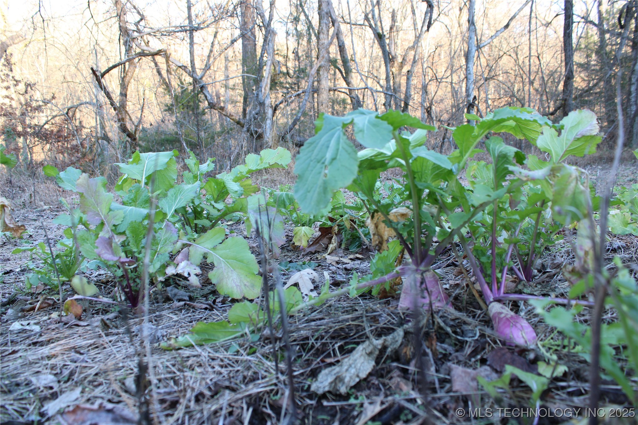 0001 S 4659 Road Property Photo 24