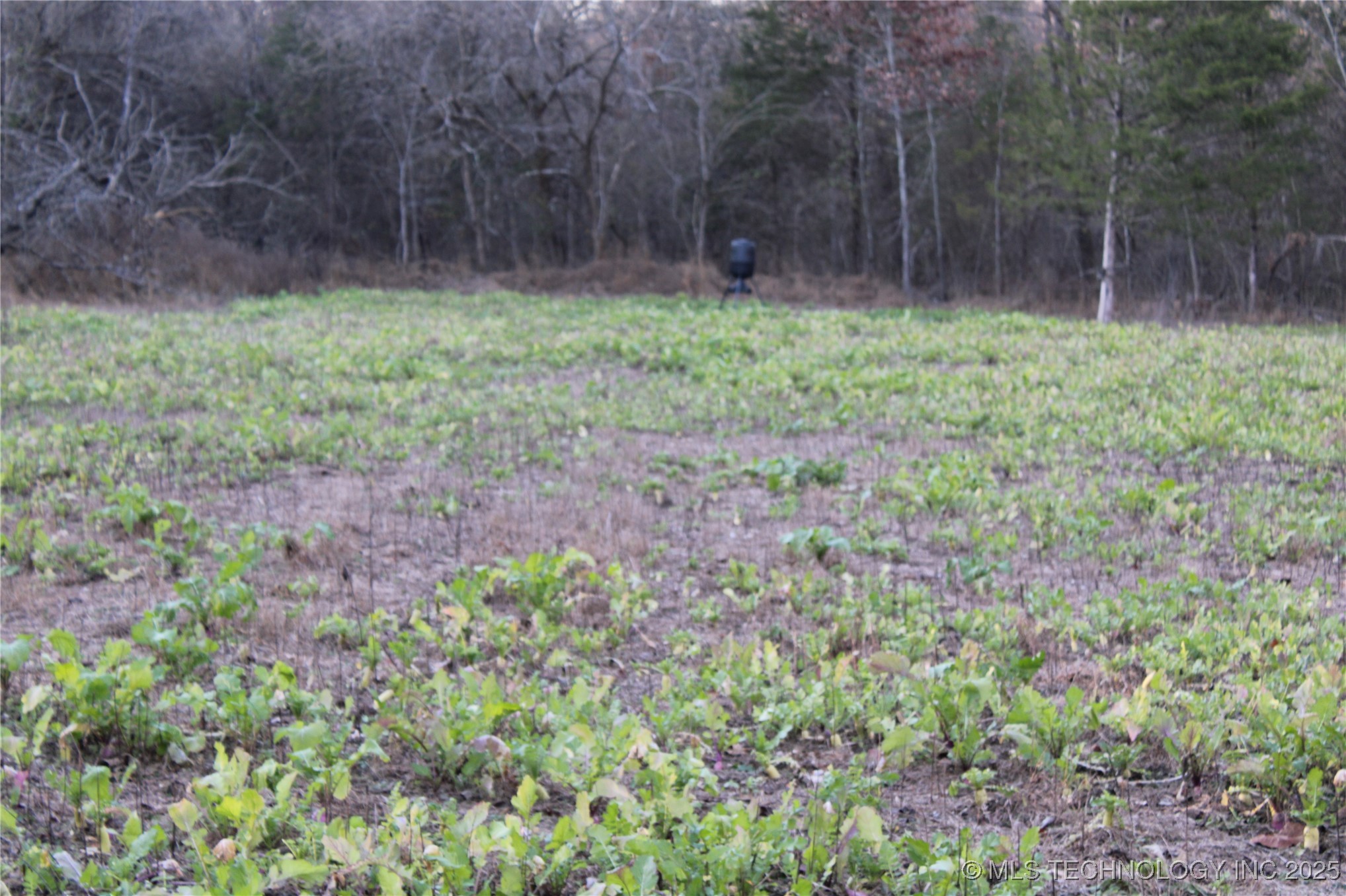 0001 S 4659 Road Property Photo 25