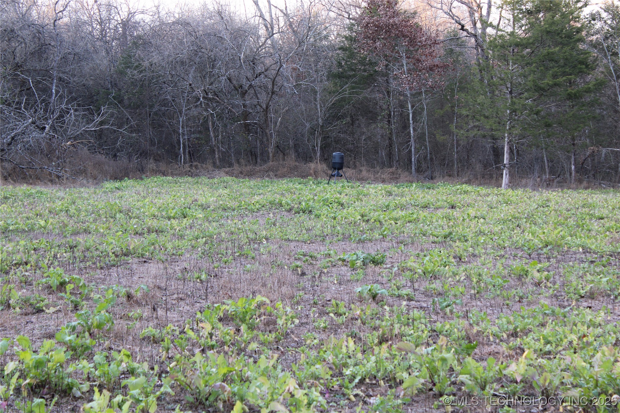 0001 S 4659 Road Property Photo 26