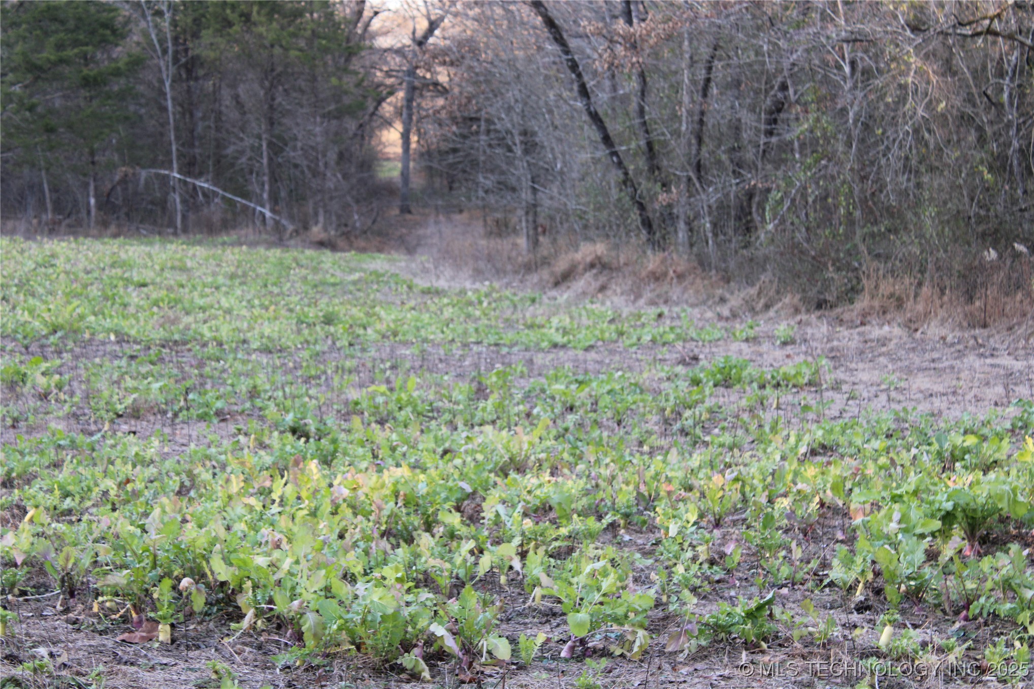 0001 S 4659 Road Property Photo 27