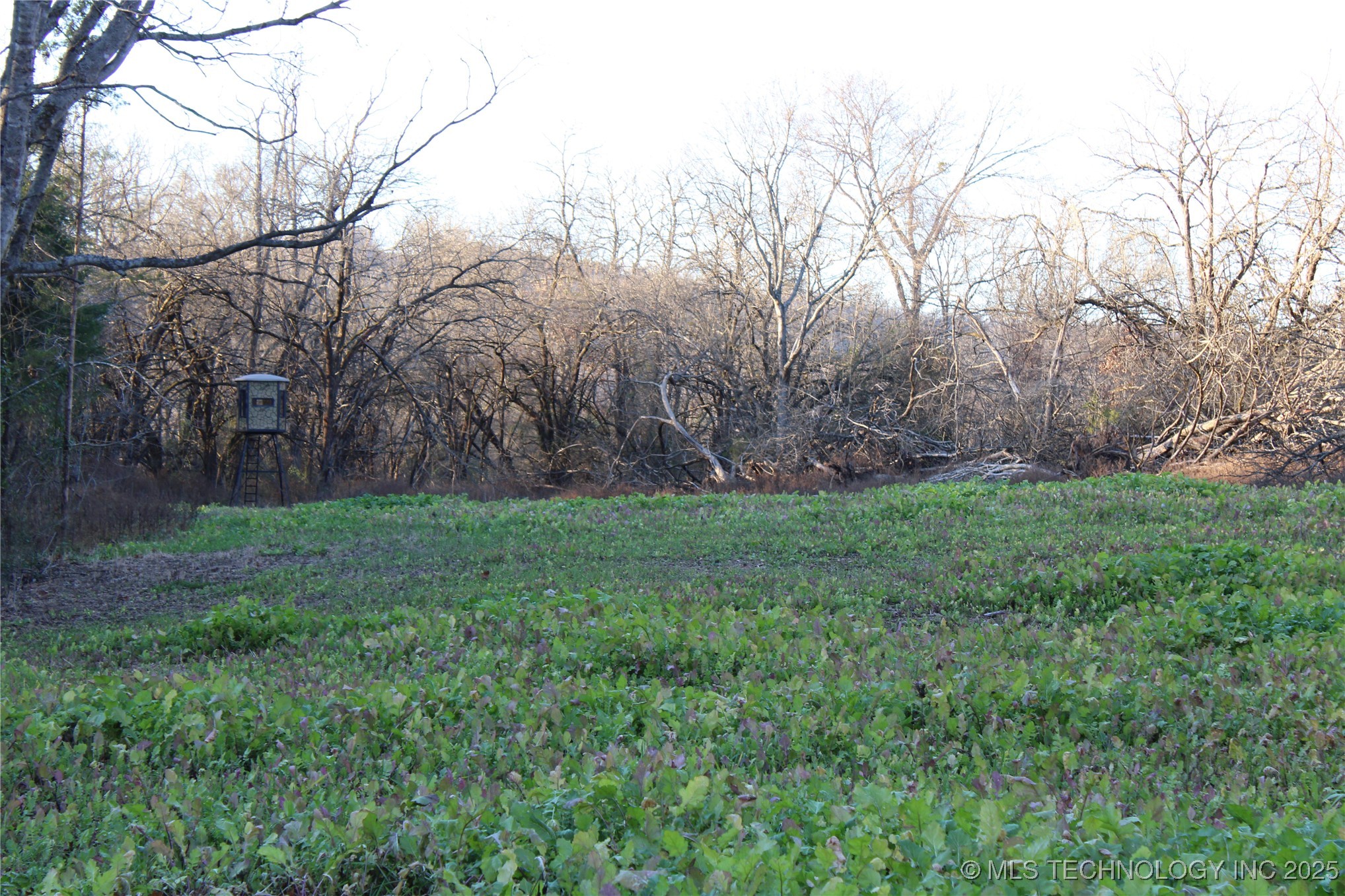 0001 S 4659 Road Property Photo 32