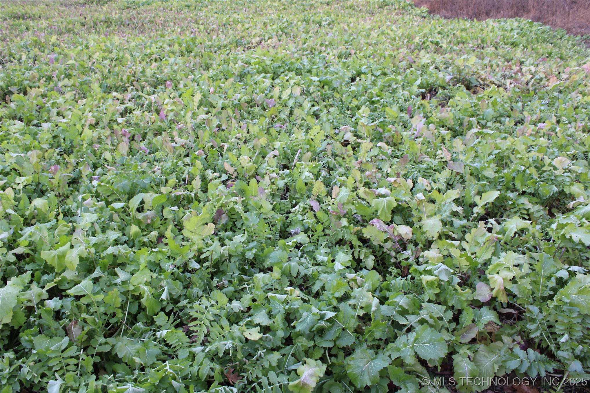 0001 S 4659 Road Property Photo 33