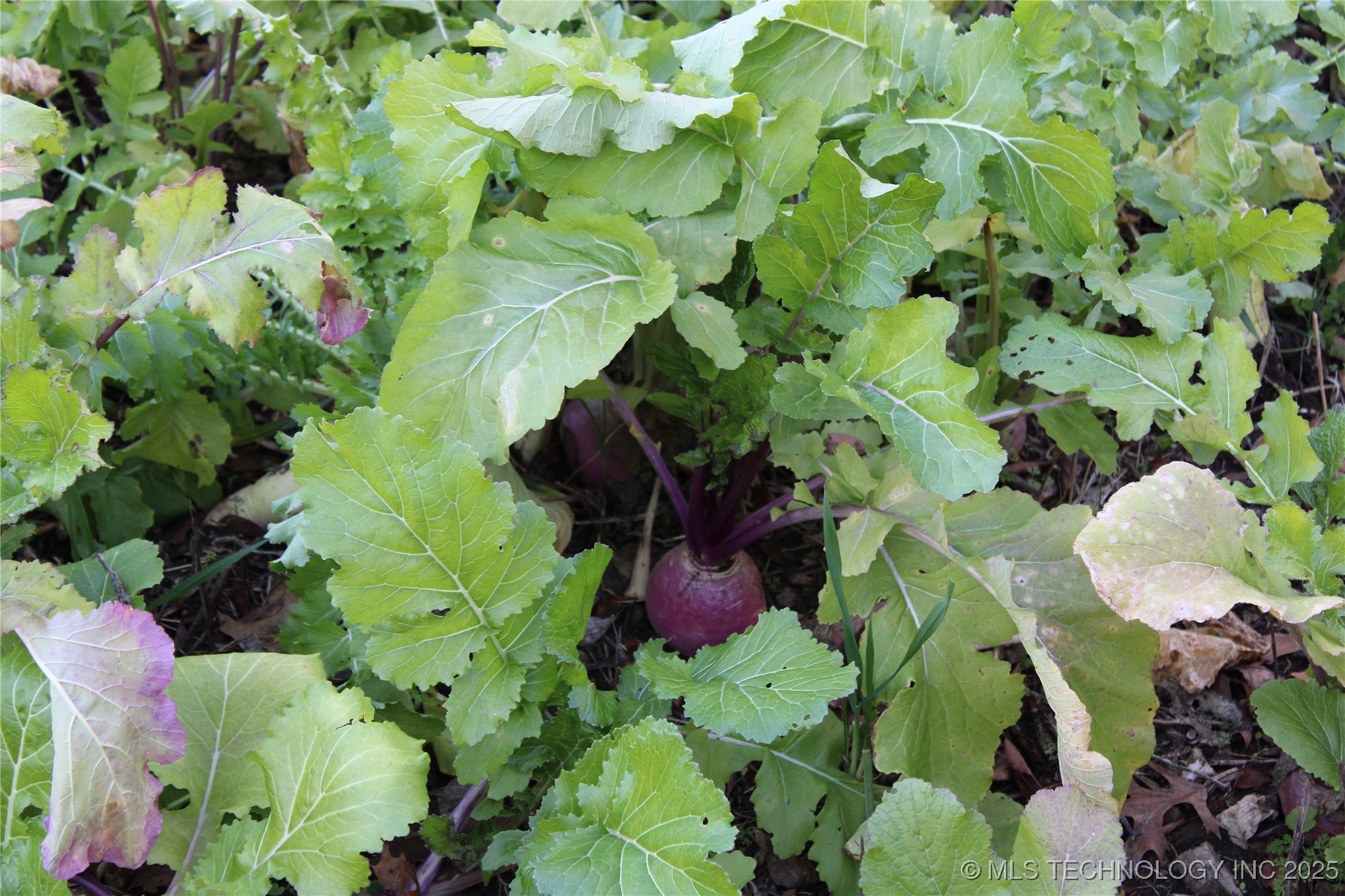 0001 S 4659 Road Property Photo 34