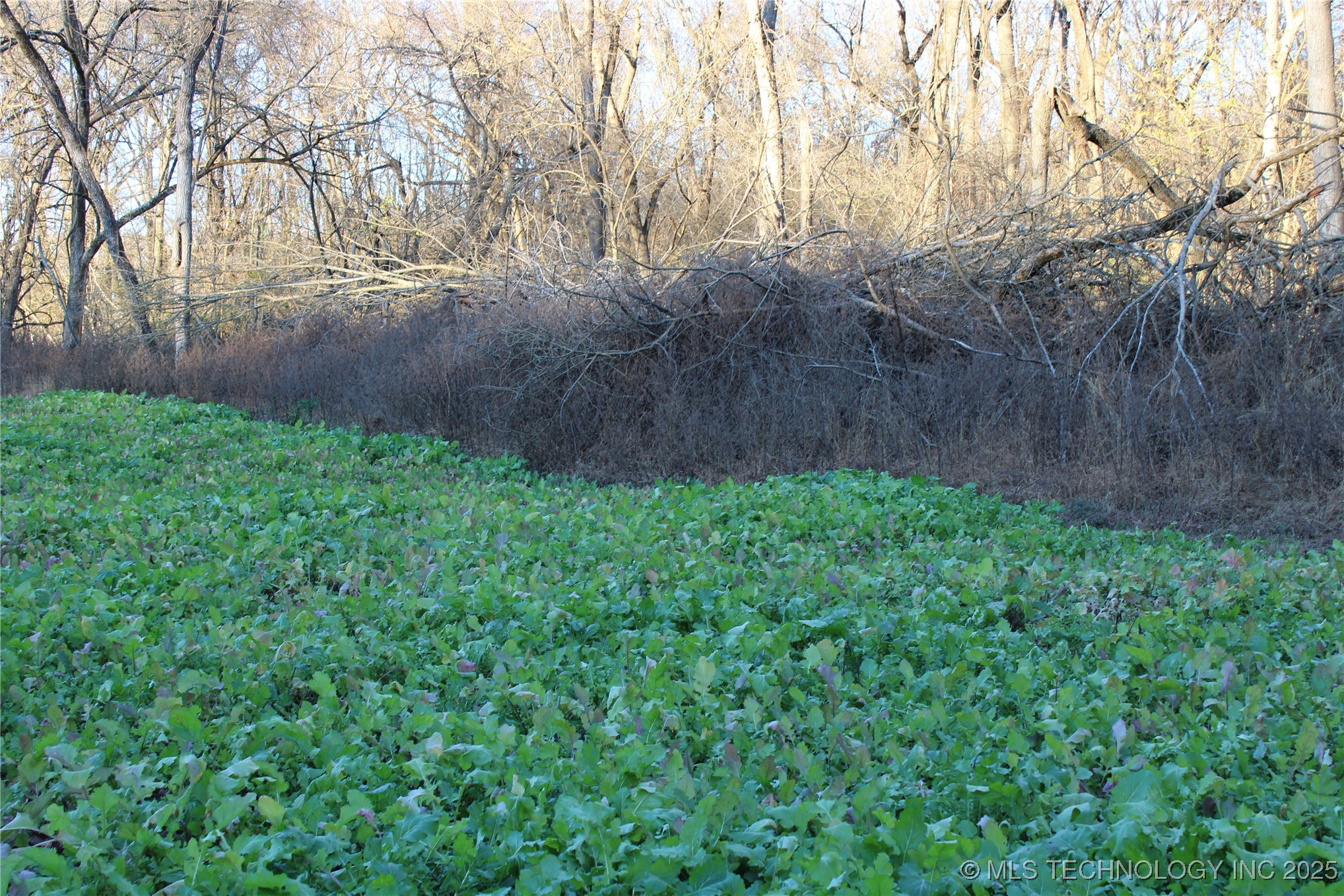 0001 S 4659 Road Property Photo 40