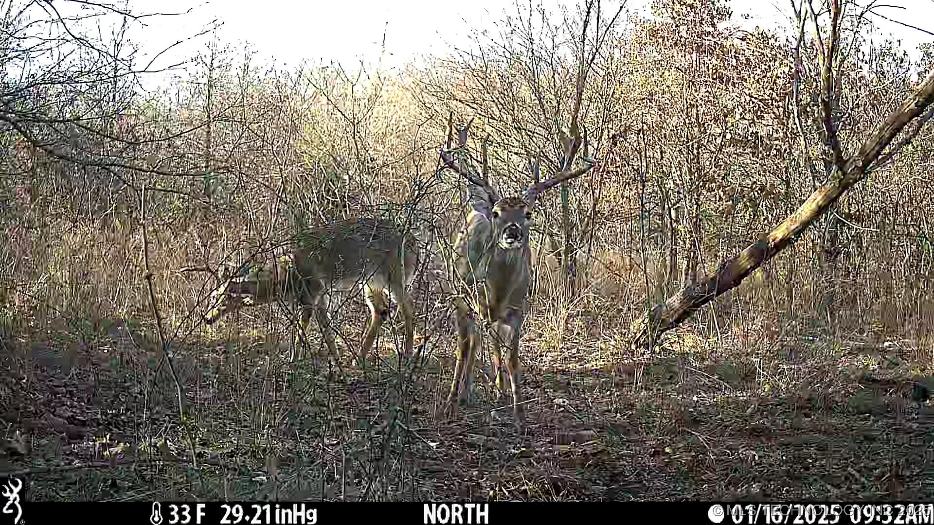 0001 S 4659 Road Property Photo 41