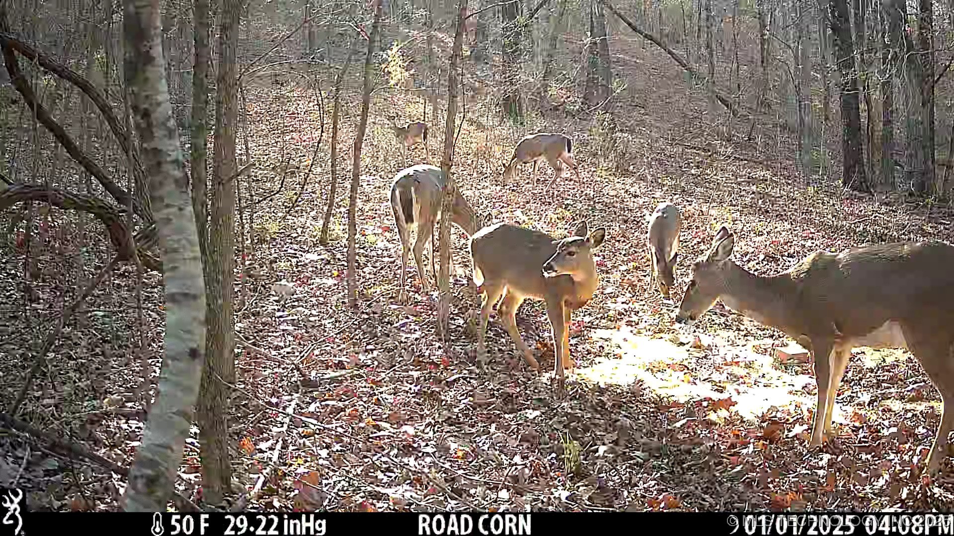 0001 S 4659 Road Property Photo 42