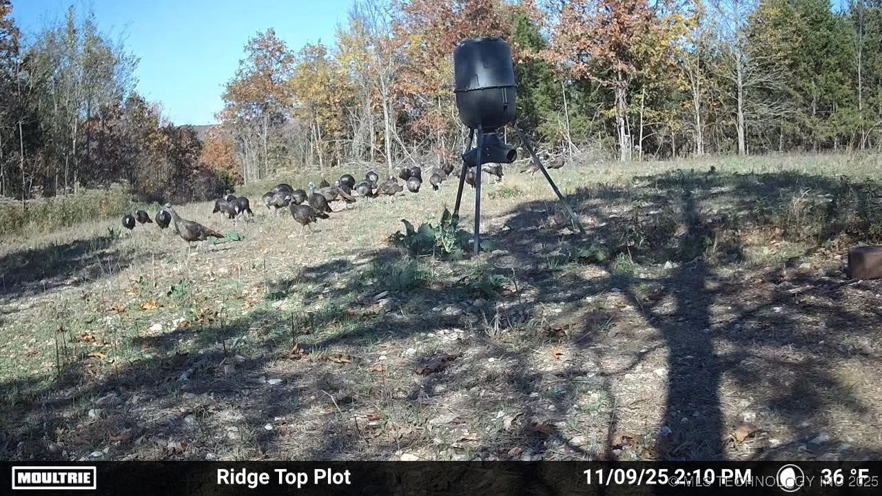 0001 S 4659 Road Property Photo 43