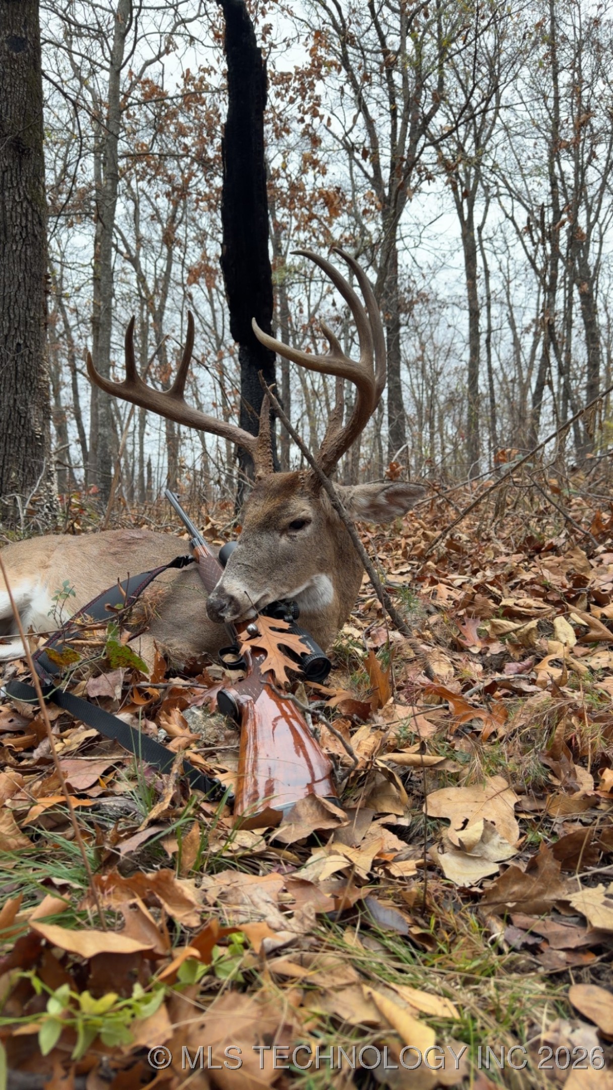 0001 S 4659 Road Property Photo 44