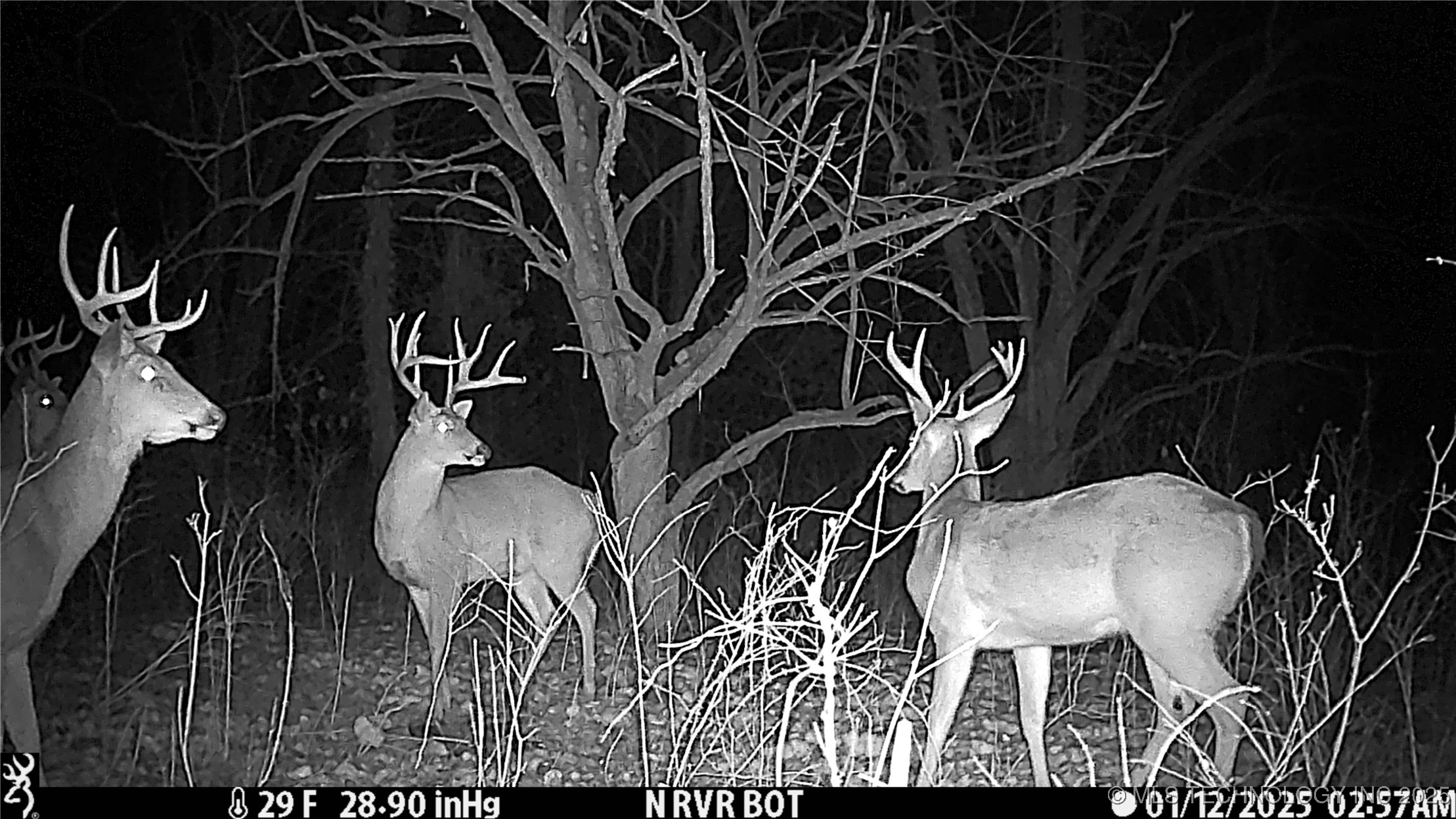 0001 S 4659 Road Property Photo 46