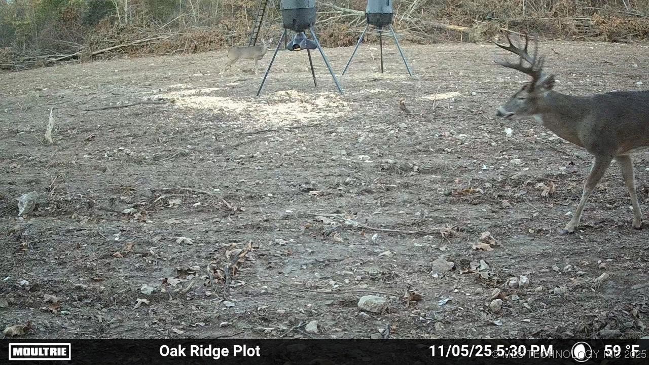 0001 S 4659 Road Property Photo 47