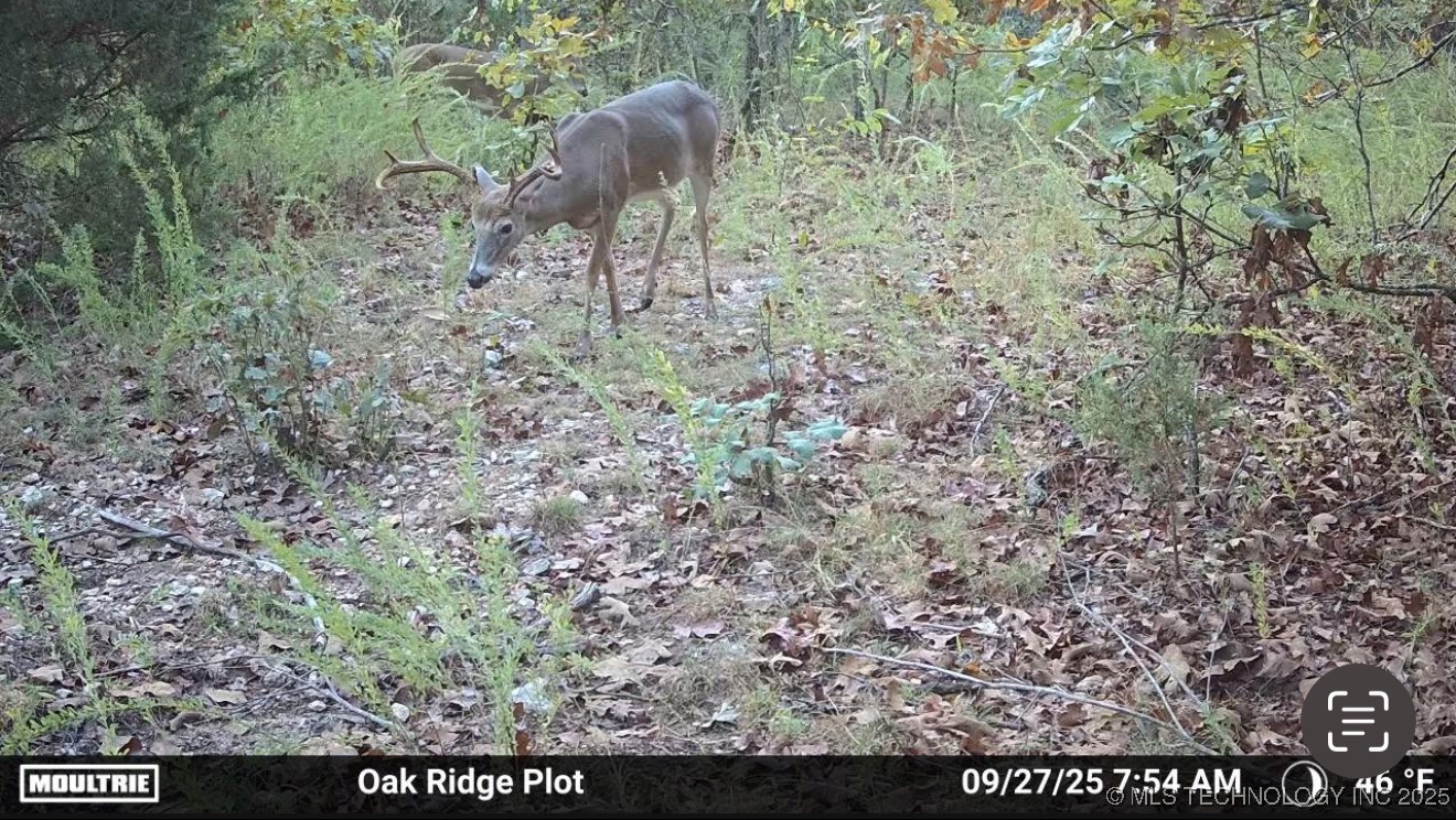 0001 S 4659 Road Property Photo 48