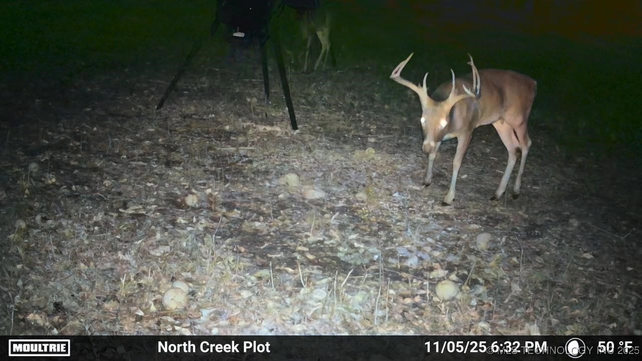 0001 S 4659 Road Property Photo 49