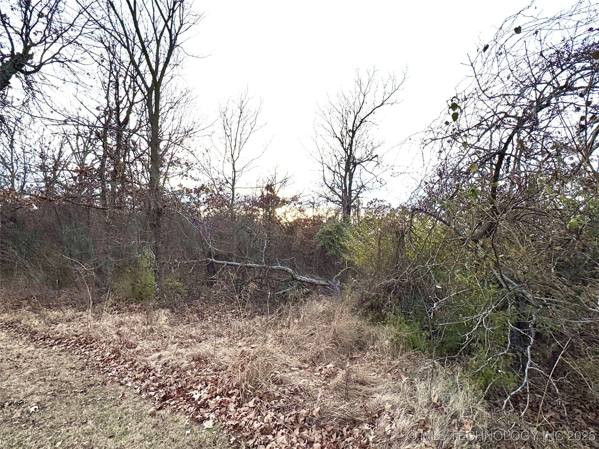 16370 S Cedarcrest Drive Property Photo 4