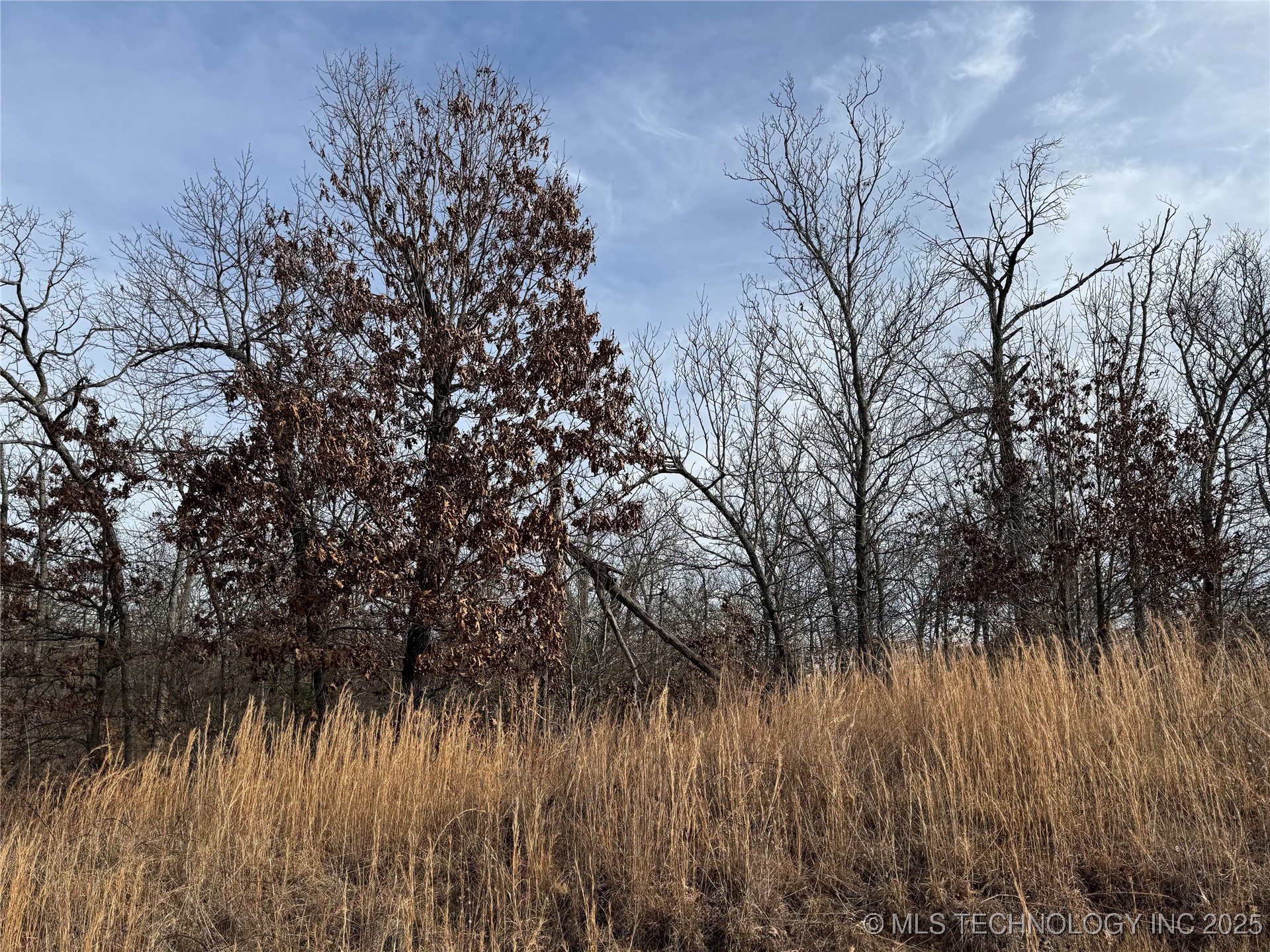 16370 S Cedarcrest Drive Property Photo 5