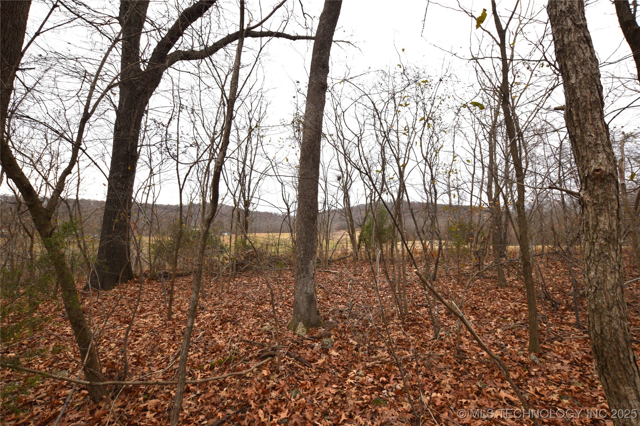 462091 100 Highway Property Photo 2