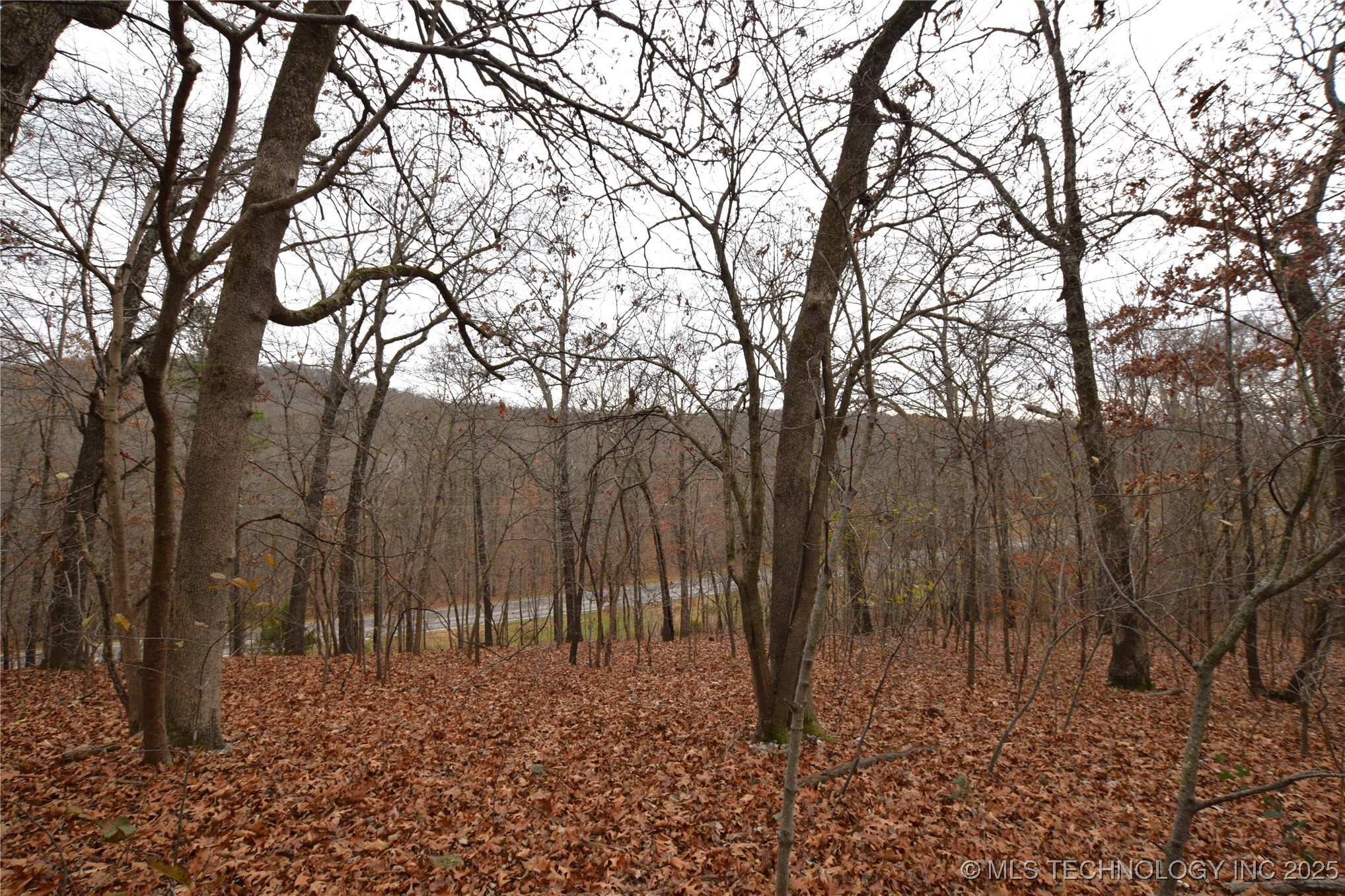 462091 100 Highway Property Photo 3