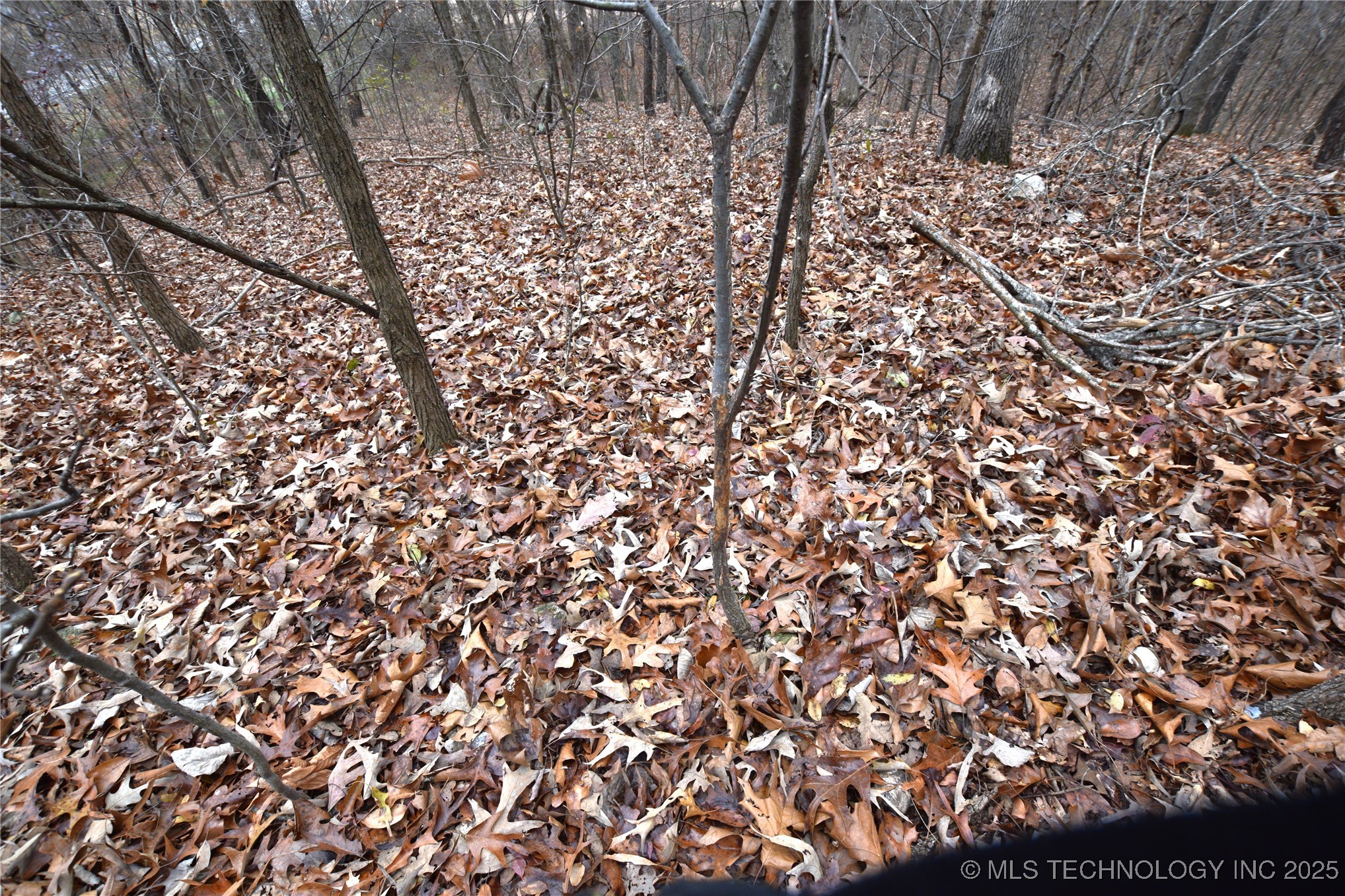 462091 100 Highway Property Photo 4