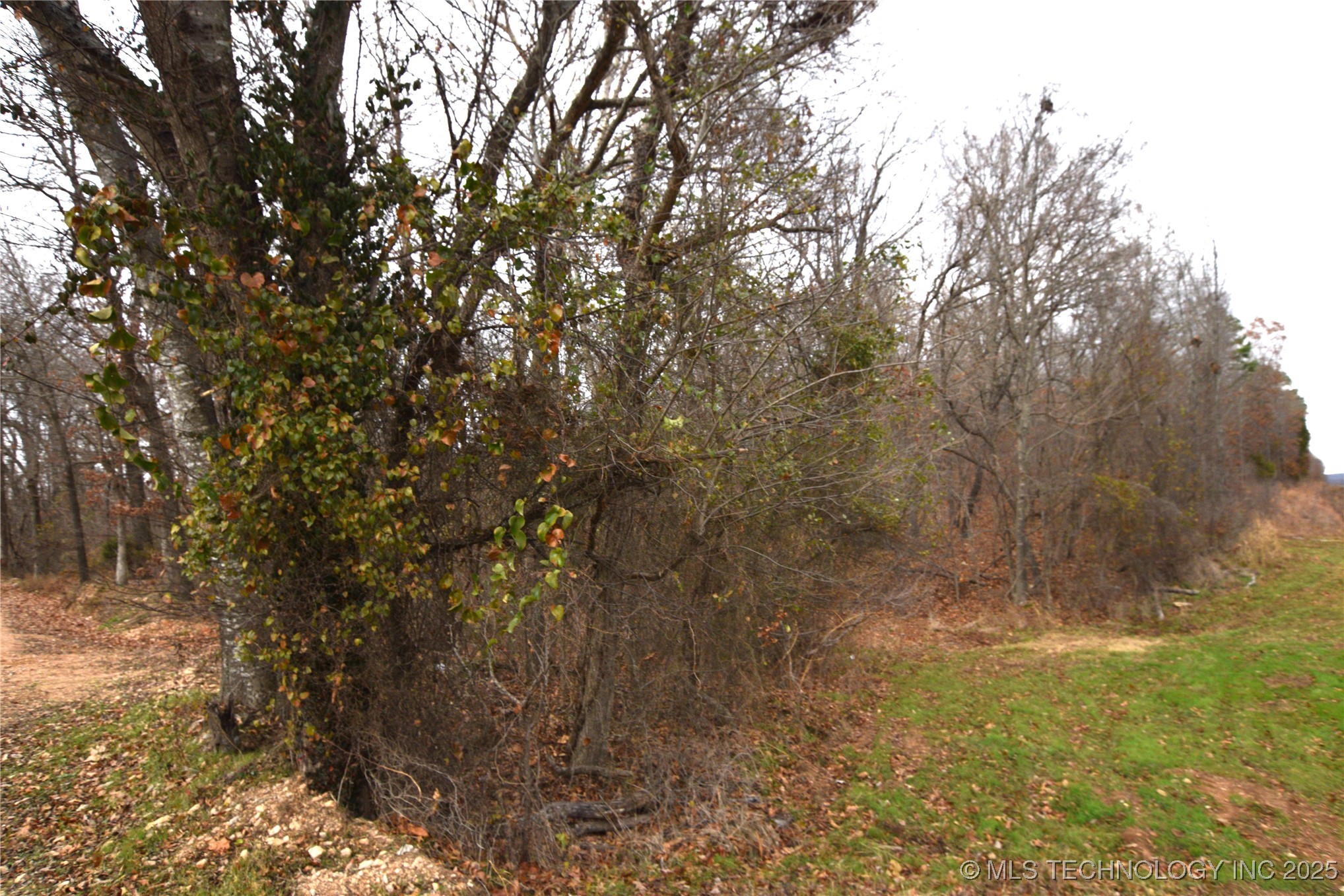 462091 100 Highway Property Photo 10