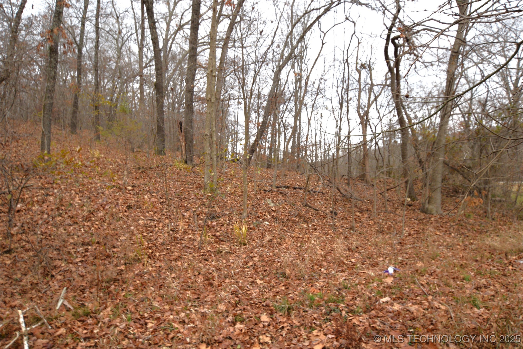 462091 100 Highway Property Photo 11