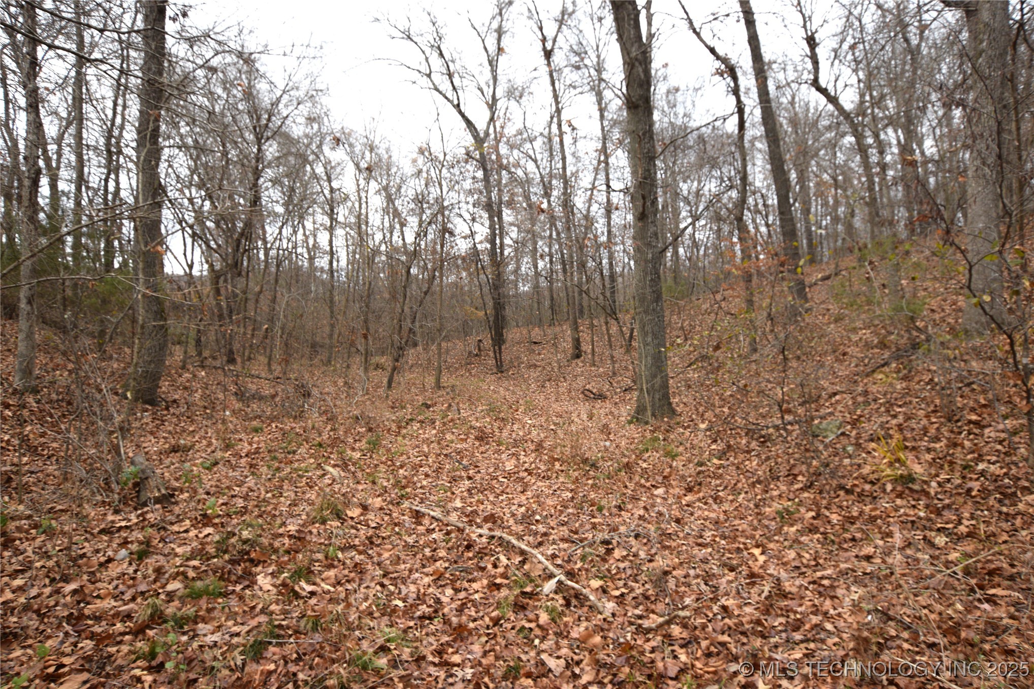 462091 100 Highway Property Photo 12