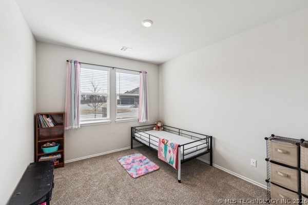 1503 Bluestem Drive Property Photo 21