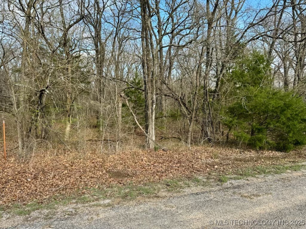 00 Mystic Oak Property Photo 2