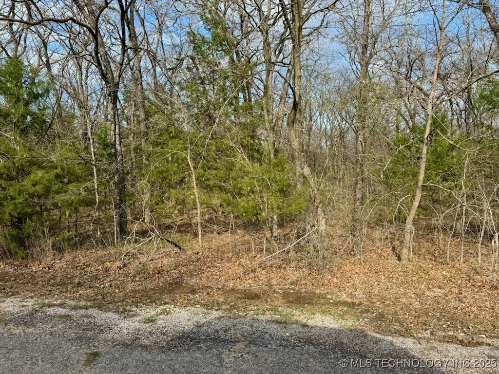 00 Mystic Oak Property Photo 3