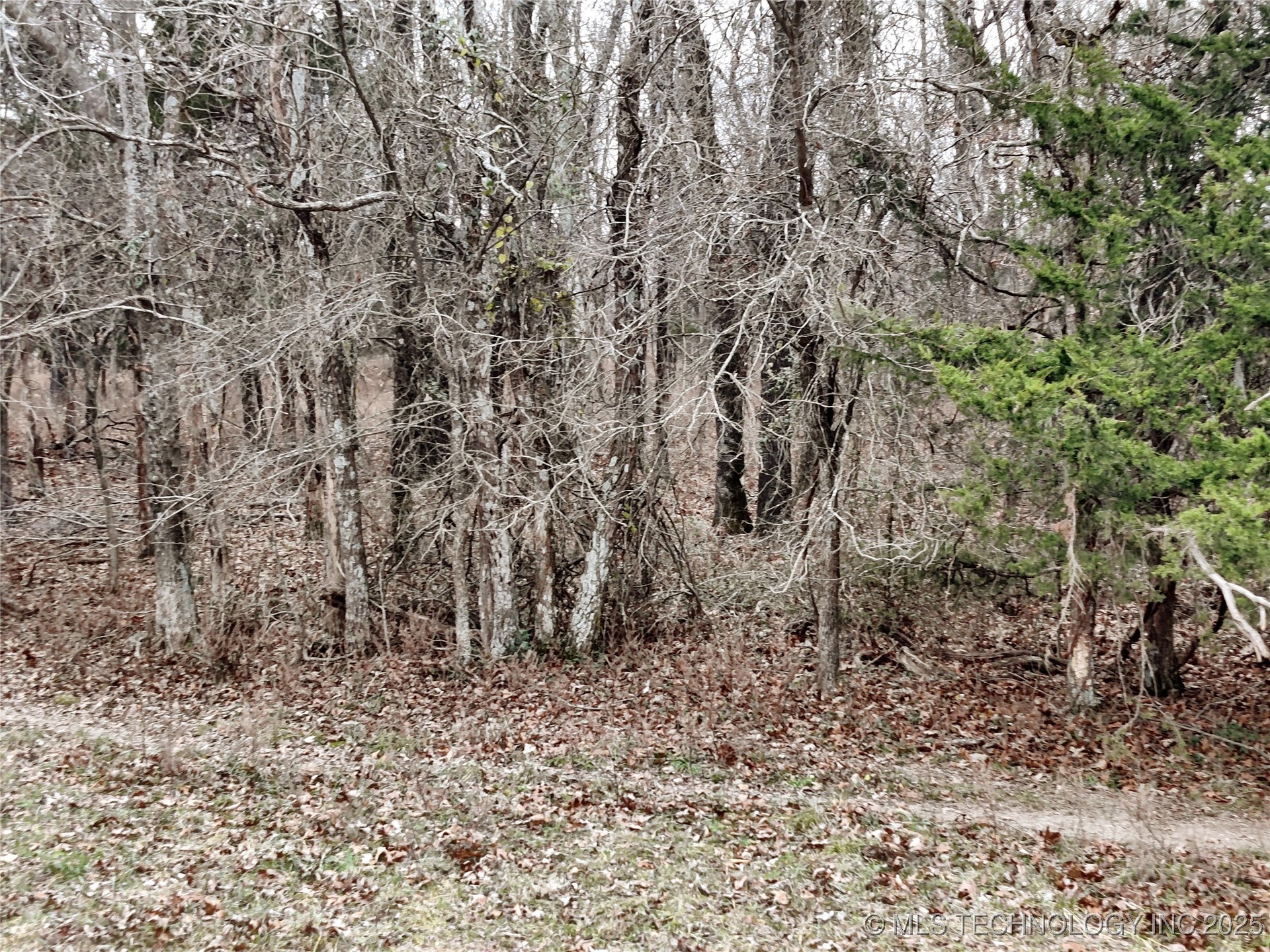 S 4725 Road Property Photo 18