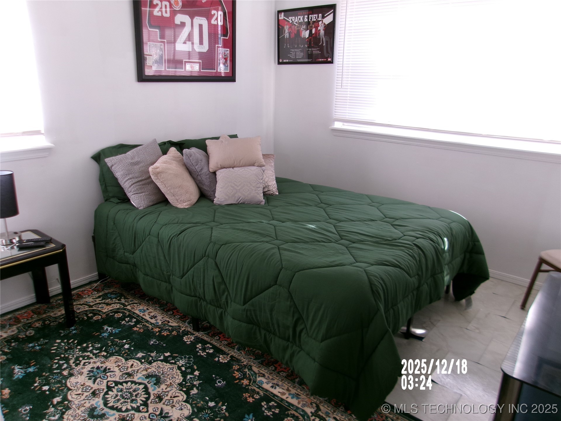 1509 Harned Drive Property Photo 18