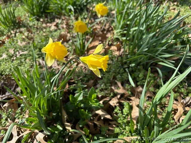 349 S Foreman Street Property Photo 29