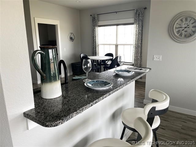 1198 Bullrush Circle Property Photo 13