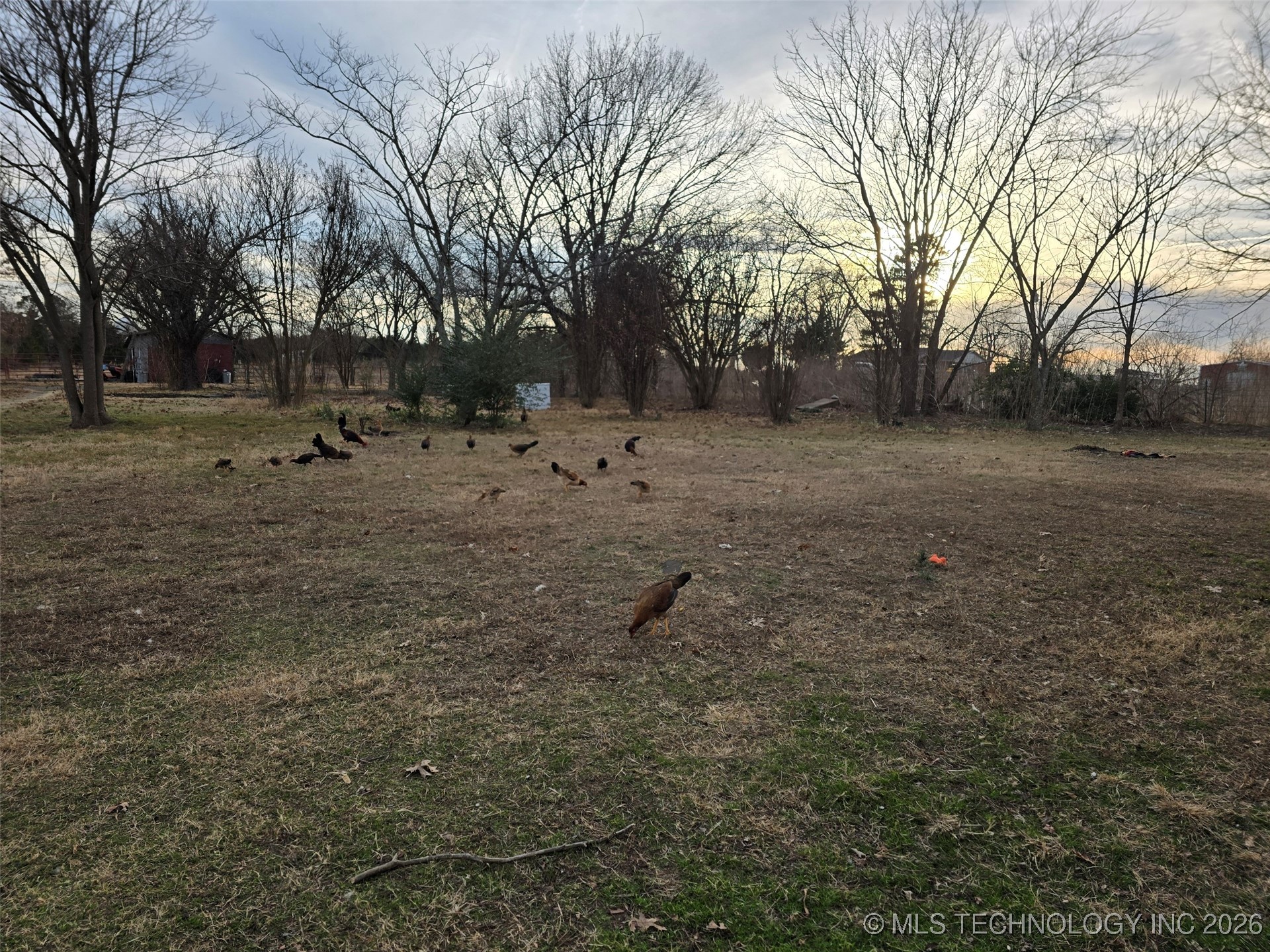 10319 Tannehill Property Photo 3