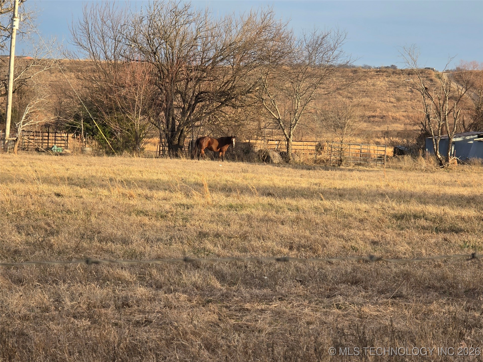 10319 Tannehill Property Photo 65