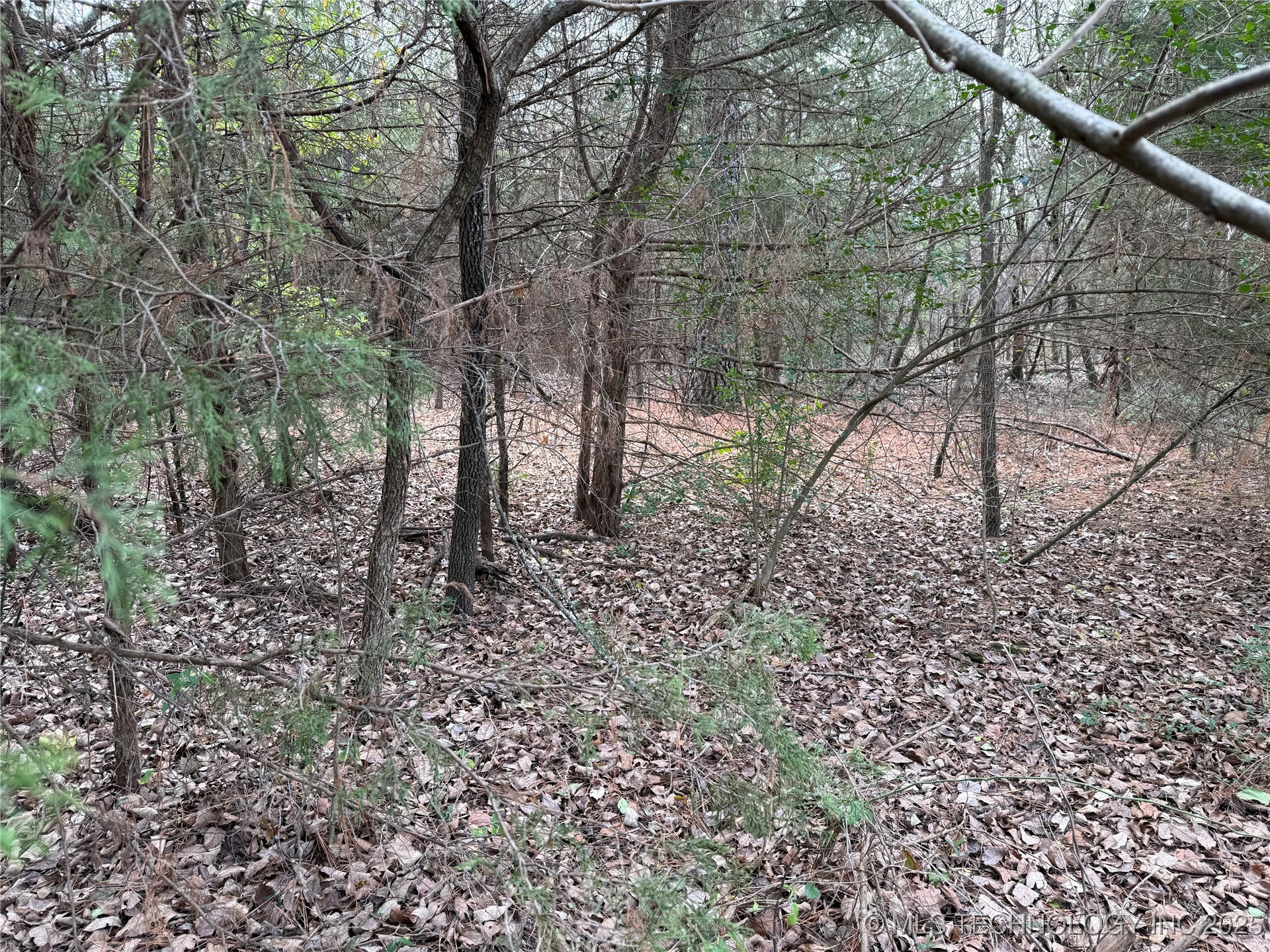 103rd Street North Property Photo 1