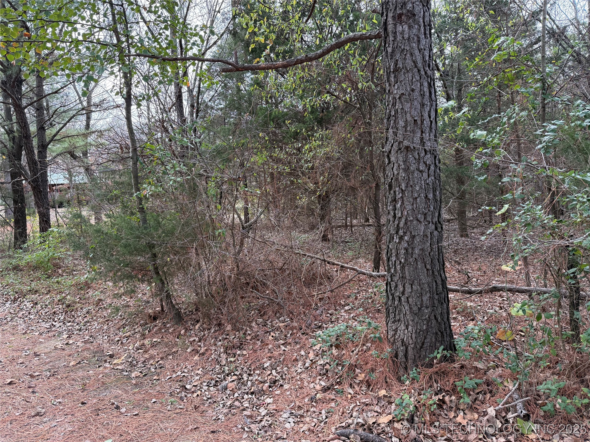 103rd Street North Property Photo 2