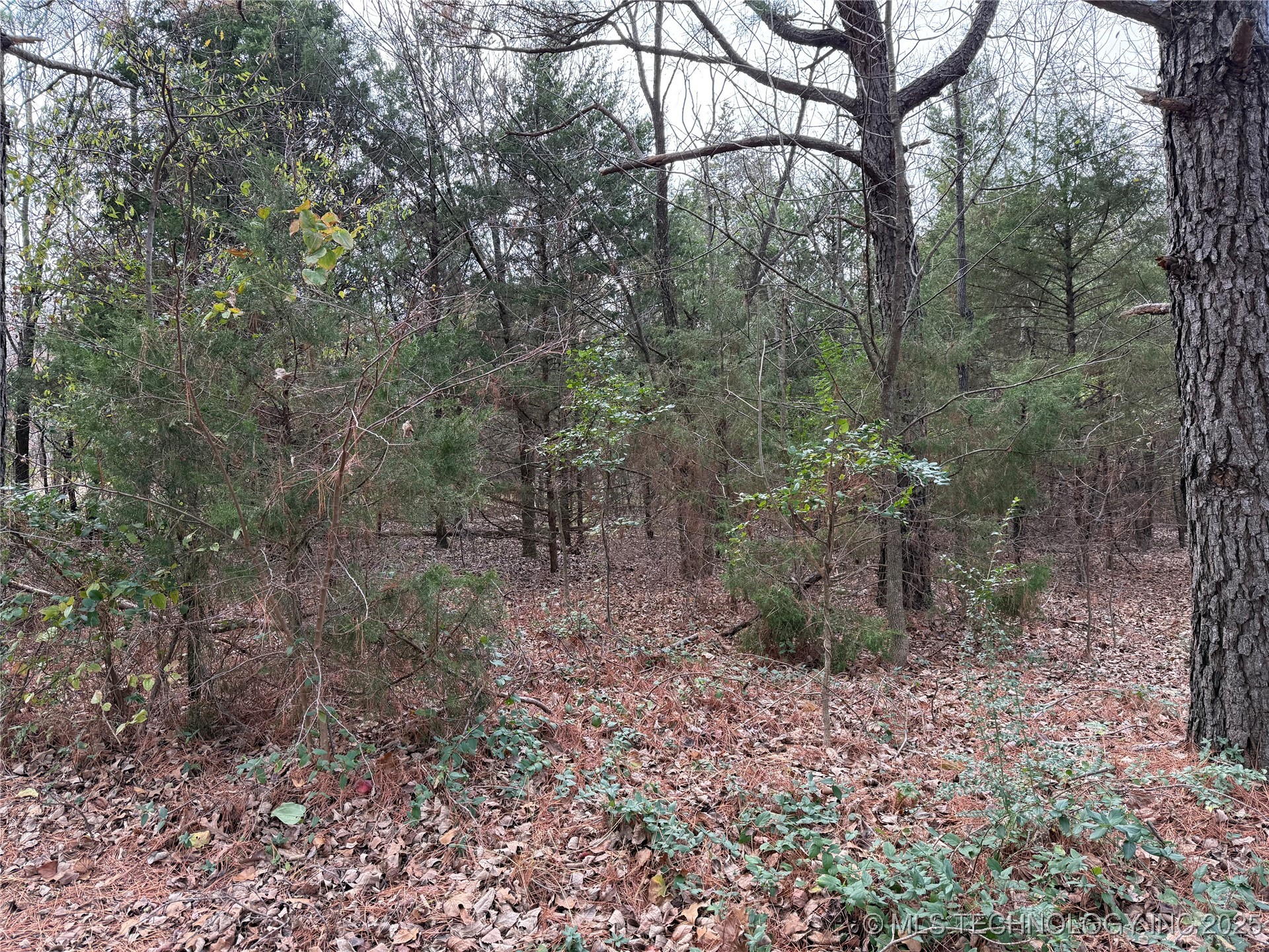 103rd Street North Property Photo 3